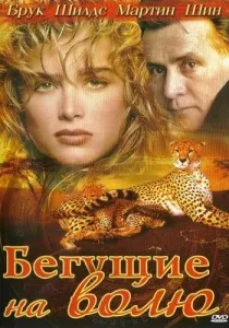 ситуації