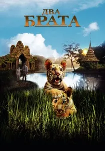 ситуації
