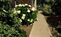 Монолітна бетонна доріжка своїми руками, своїми руками (Садиба) монолітна