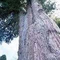 Частини тіла () 5 букв - пошук слів за маскою та визначенням, відповіді на сканворди тіла