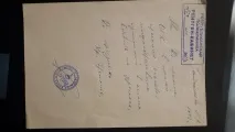 Лікування верблюжим молоком в Єгипті. лікування