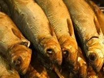 Салака риба сімейства оселедцевих Салака