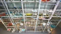 Офіційний сайт компанії Geberit Group в Україна, Geberit Україна. geberit