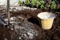 Знезараження ґрунту в теплиці (відео) теплиці