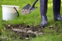 Знезараження ґрунту в теплиці (відео) теплиці
