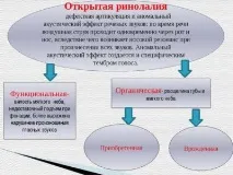 Відкрита ринолалія, що це таке, класифікація, причини порушення ринолалія