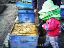 Пасічний димок димок