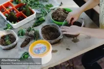 Природні матеріали для виробів матеріали
