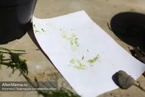 Природні матеріали для виробів дуже