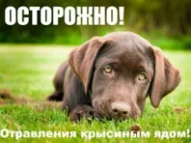 Прайс-лист на послуги Ветеринарної клініки прайс-лист