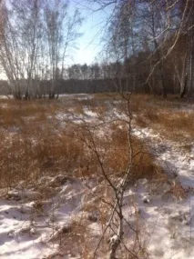 Приємні спогади! приємні