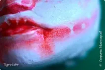 Рало - сильна і втомлена Країна Майстрів сильна