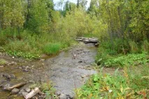 Рибалка харіуса на Вішері вішері