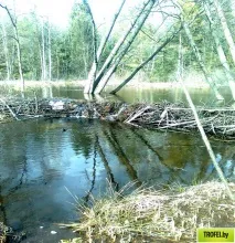 Рибалка на водосховище Гать, Відпочинок та подорожі до Білорусі відпочинок
