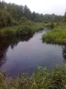 Рибалка на водосховище Гать, Відпочинок та подорожі до Білорусі відпочинок