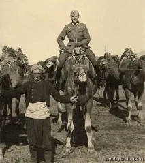 Найбільш незвичайні ретро фотографії тварин незвичайні