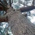 Частини тіла () 5 букв - пошук слів за маскою та визначенням, відповіді на сканворди тіла