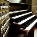 Частини тіла () 5 букв - пошук слів за маскою та визначенням, відповіді на сканворди частини