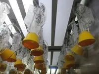 Що станеться, якщо хтось відкриє аварійний вихід літака під час польоту станеться