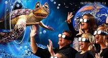 Що таке 7D таке