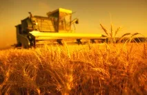 Що потрібно знати для успішного ведення сільського господарства знати