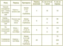 какво трябва