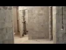 цялата цялата