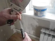 цялата финото