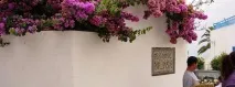 саид сиди