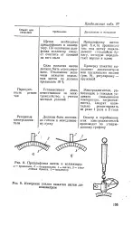 голямата