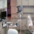 Будова зуба людини наочні схеми та цікаве відео зуба