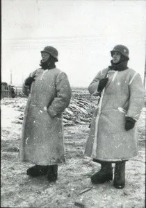 Сталіногорськ 1941 років