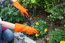 Засобизахисту рук рукавички