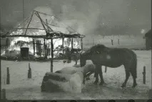 Сталіногорськ 1941 років