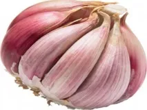 Будова часнику часнику