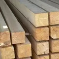Stem () 4 букви - пошук слів за маскою і визначенням, відповіді на сканворди stem