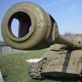 Stem () 4 букви - пошук слів за маскою і визначенням, відповіді на сканворди слів