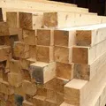 Stem () 4 букви - пошук слів за маскою і визначенням, відповіді на сканворди букви