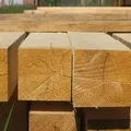 Stem () 4 букви - пошук слів за маскою і визначенням, відповіді на сканворди пошук