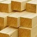 Stem () 4 букви - пошук слів за маскою і визначенням, відповіді на сканворди букви