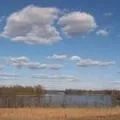 Stem () 4 букви - пошук слів за маскою і визначенням, відповіді на сканворди stem