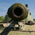 Stem () 4 букви - пошук слів за маскою і визначенням, відповіді на сканворди пошук