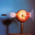 Stem () 4 букви - пошук слів за маскою і визначенням, відповіді на сканворди пошук
