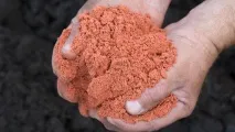 вирощування