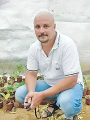 Теплиця-«термос» побудована за принципом світловіддзеркалення побудована