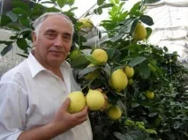 будівництво