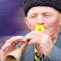 пошук