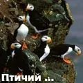 тюркськ