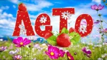 вживаються