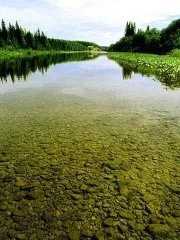 Вибір місця для встановлення мереж мереж